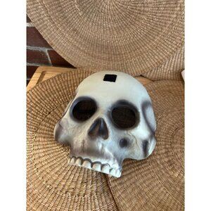 Party City skeleton skull mask